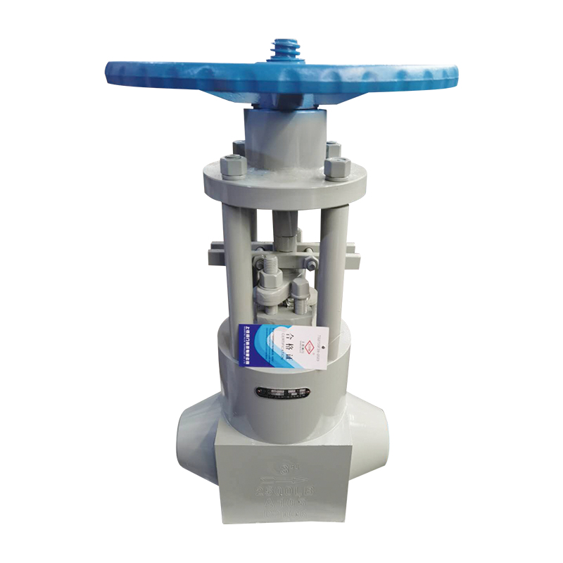 Forged anti erosion globe valve