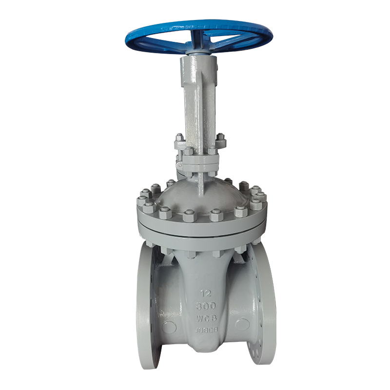 Manual API Cast Steel Gate Valve