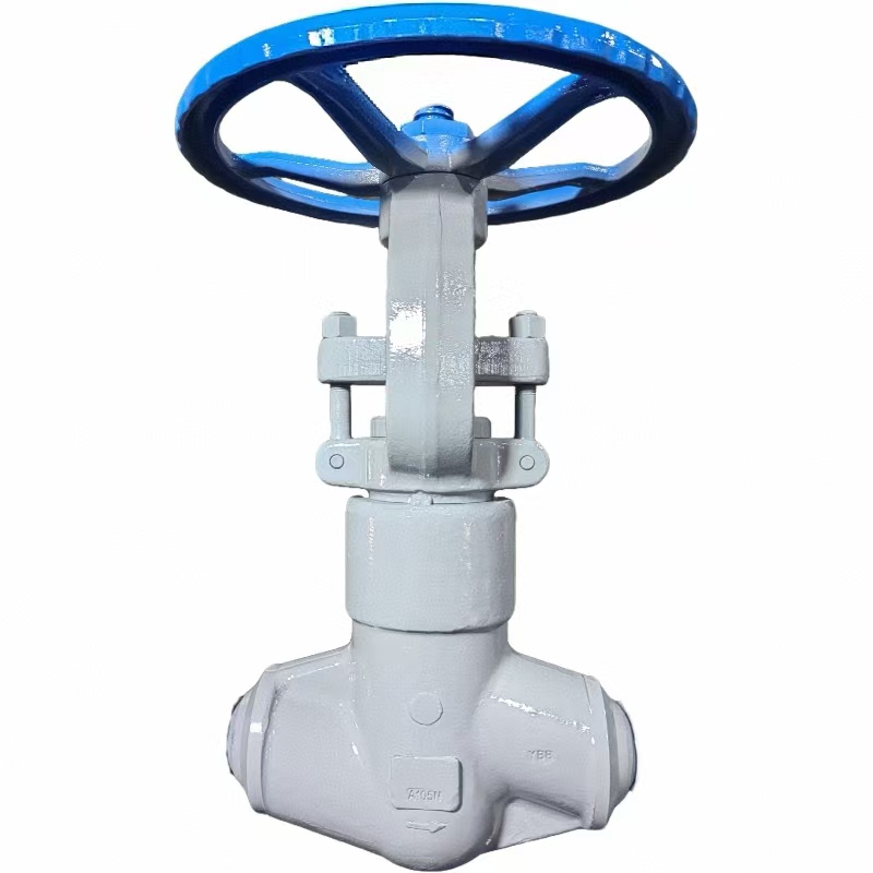 A105 high pound forged globe valve