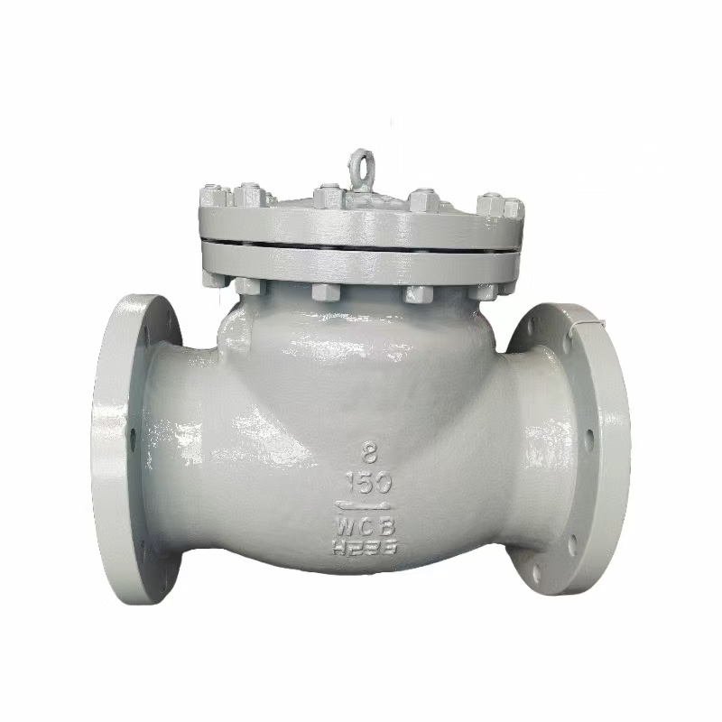 Swing Check Valve