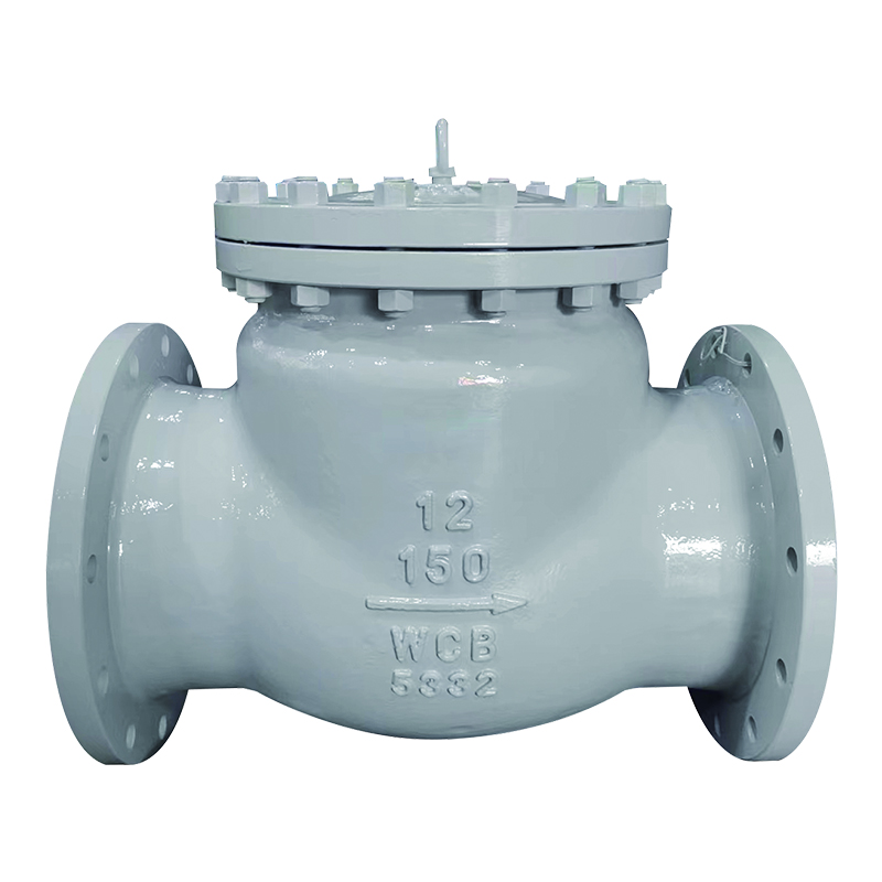 Check Valve