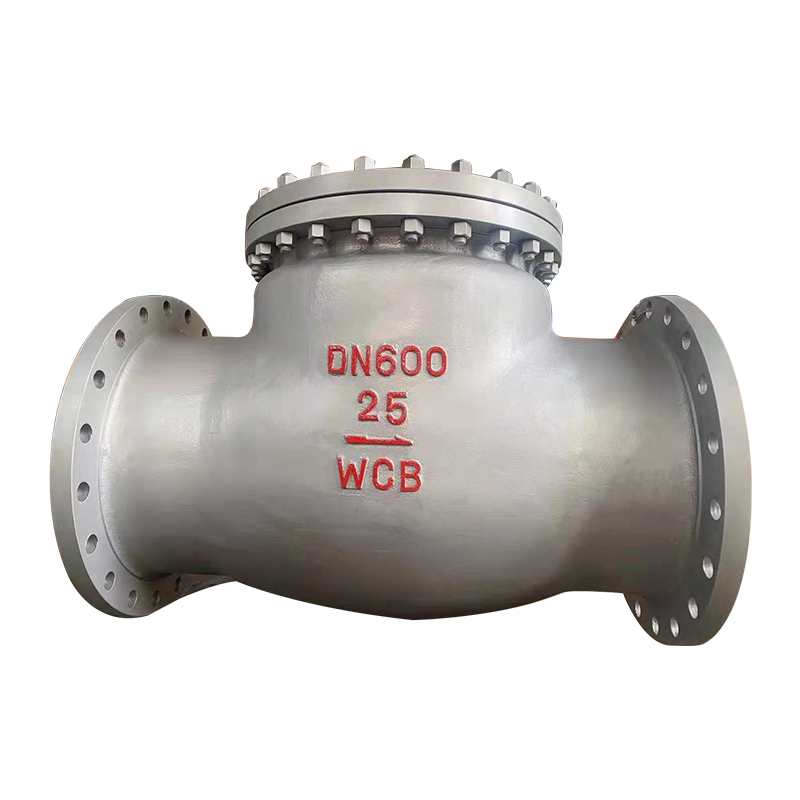 Cast Steel Check Valve