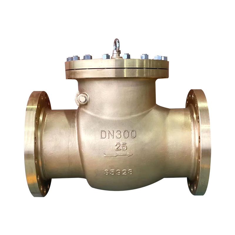 Aluminum bronze flange check valve C95800