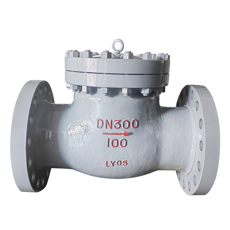 High Pressure Check Valve